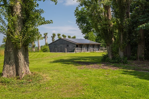 Medium property photo - Waalbandijk 110, 4063 CD Heesselt